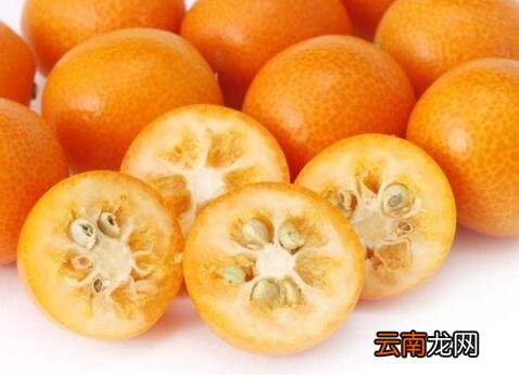 金桔一天最多吃几个 金桔一天吃几个最佳