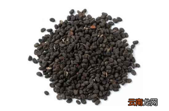常用的中医抗衰老药方 这六种很受欢迎