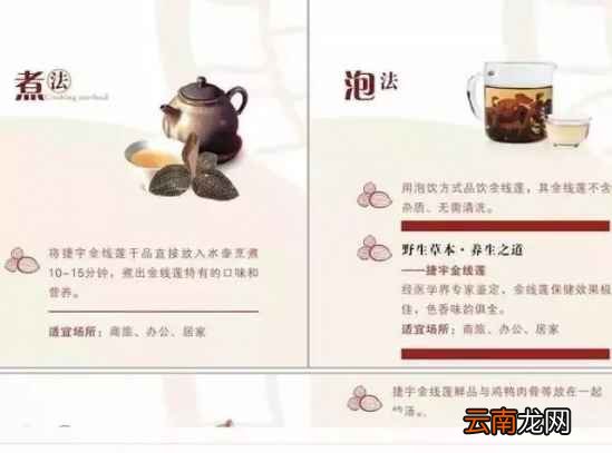 金线莲怎么吃 99%的人都不懂吃