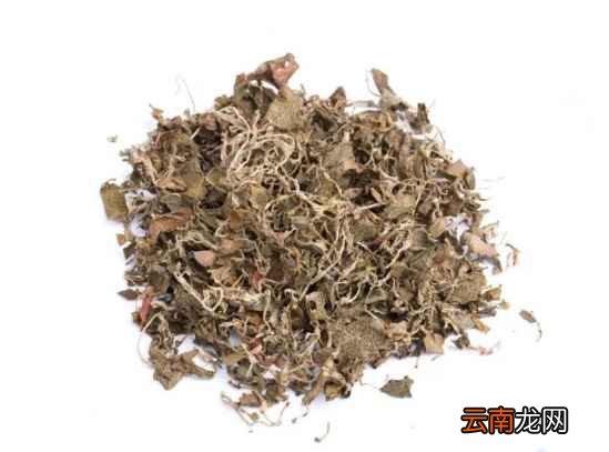 金线莲怎么吃 99%的人都不懂吃