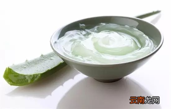 三七跟什么搭配最好 试试这三种搭配吧