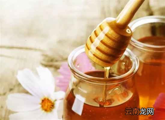 三七跟什么搭配最好 试试这三种搭配吧