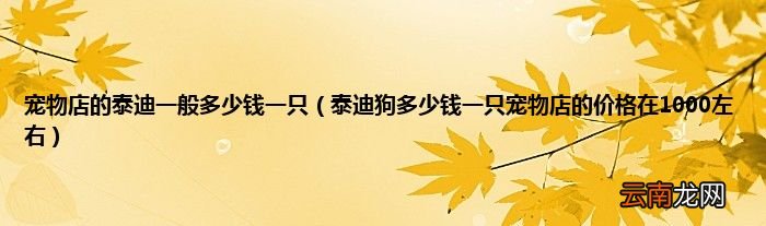 泰迪狗多少钱一只宠物店的价格在1000左右 宠物店的泰迪一般多少钱一只