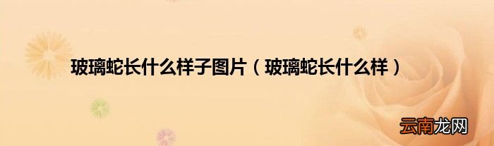 玻璃蛇长什么样 玻璃蛇长什么样子图片