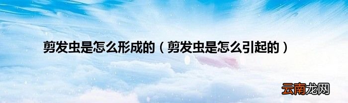 剪发虫是怎么引起的 剪发虫是怎么形成的