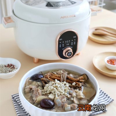 五指毛桃猪骨汤 五指毛桃煲汤配什么