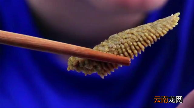 论海星的食用方法 海星怎么吃