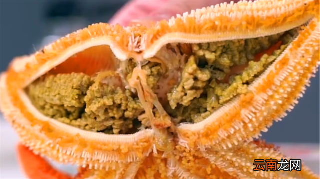 论海星的食用方法 海星怎么吃