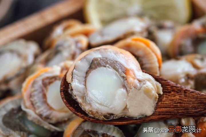 扇贝要蒸多久才好 扇贝蒸几分钟