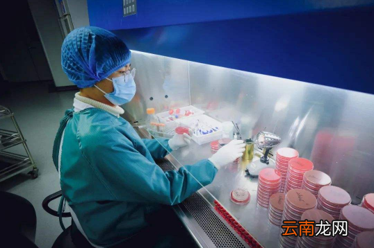 48小时核酸检测结果在哪里查询-48小时核酸检测怎么看结果