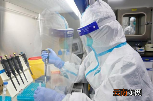 48小时核酸检测结果在哪里查询-48小时核酸检测怎么看结果