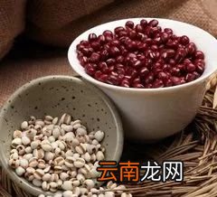 薏米红豆怎么吃减肥 它的减肥原理是什么