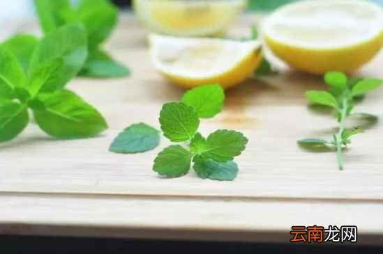 水果棒冰怎么做 健康低卡配方让你冰爽一夏
