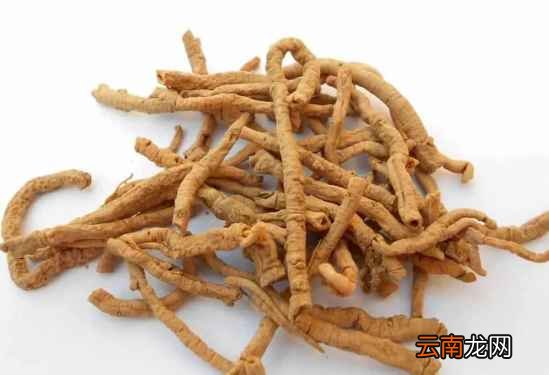 什么中药泡茶喝精力好 这三味中药能宁心安神