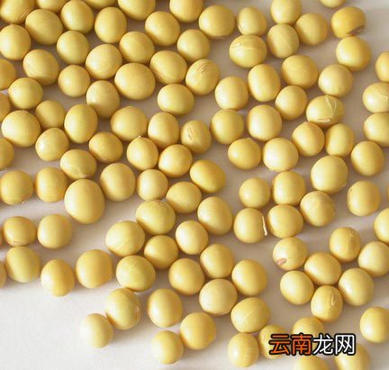 青豆和毛豆的区别 毛豆、青豆、黄豆的演变
