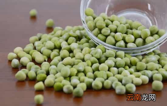 青豆和毛豆的区别 毛豆、青豆、黄豆的演变