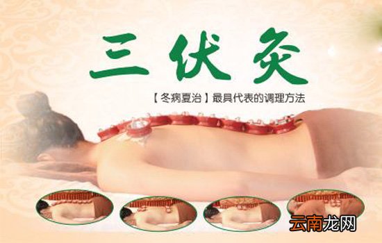 三伏灸宣传语 三伏灸冬病夏治正当时