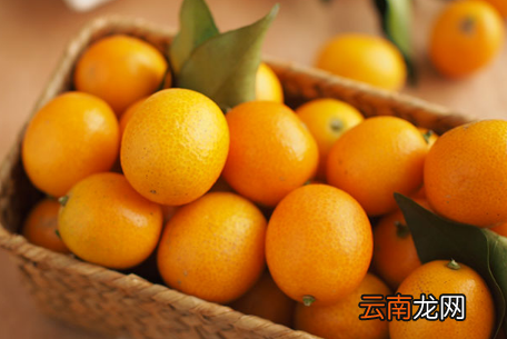 哪些人不能吃金桔 体寒湿气重能吃金桔吗