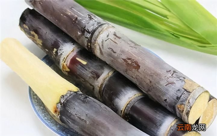 甘蔗的营养价值与功效 吃甘蔗对肝脏有好处吗