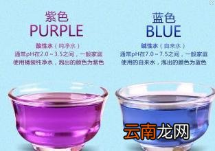 你需要知道的黑枸杞 黑枸杞是热性还是凉性