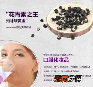 你需要知道的黑枸杞 黑枸杞是热性还是凉性