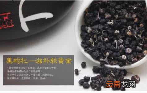 你需要知道的黑枸杞 黑枸杞是热性还是凉性