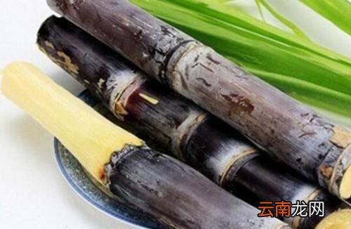 甘蔗百合猪肺汤 甘蔗和什么一起煮止咳