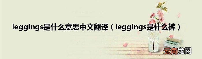 leggings是什么裤 leggings是什么意思中文翻译