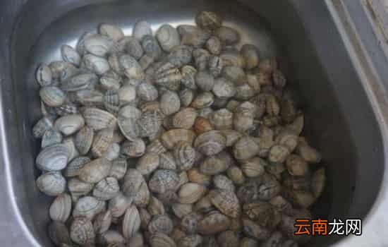 花甲用盐水泡了会死吗 花甲应忌用淡水泡养
