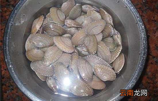 花甲用盐水泡了会死吗 花甲应忌用淡水泡养