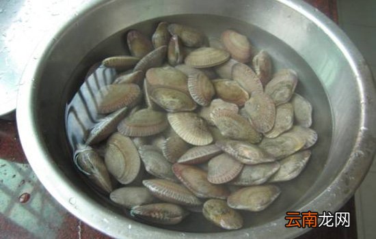 花甲用盐水泡了会死吗 花甲应忌用淡水泡养