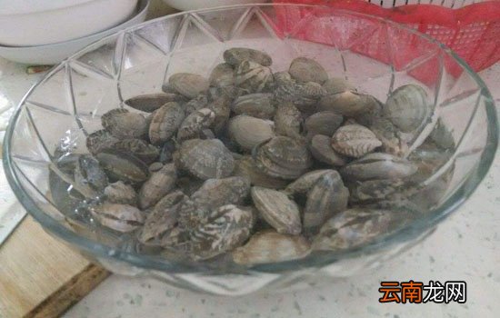 花甲用盐水泡了会死吗 花甲应忌用淡水泡养