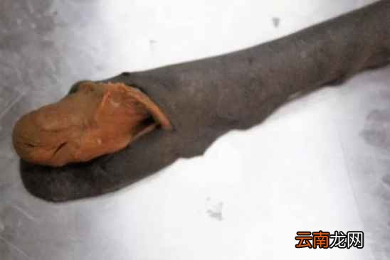 豹纹吐司做法 不愧是最性感的早餐