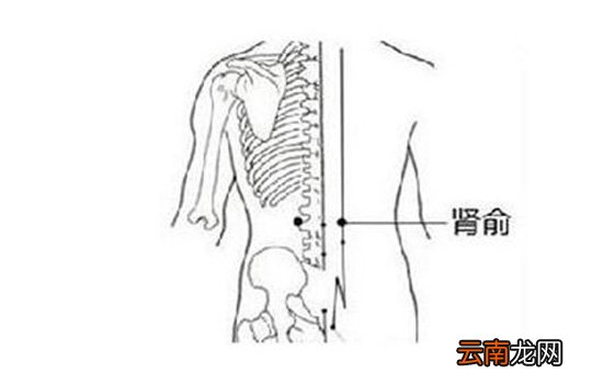 三伏贴能治哮喘吗 三伏贴治哮喘贴在哪