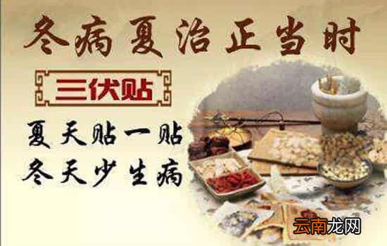 三伏贴能治哮喘吗 三伏贴治哮喘贴在哪