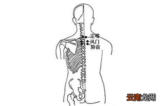 三伏贴能治哮喘吗 三伏贴治哮喘贴在哪