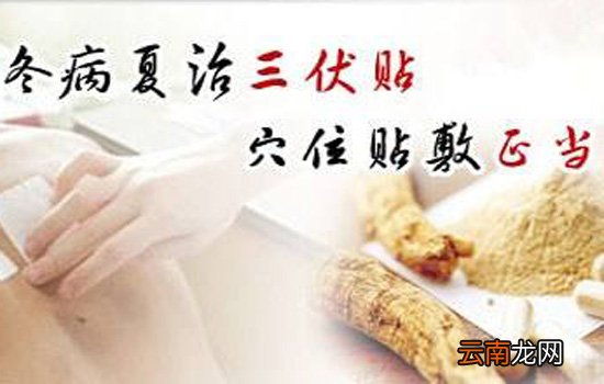 三伏贴能治哮喘吗 三伏贴治哮喘贴在哪