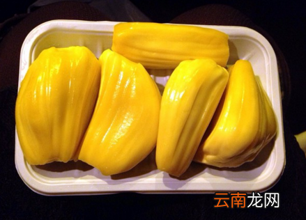 吃菠萝蜜会发胖吗 菠萝蜜热量高吗