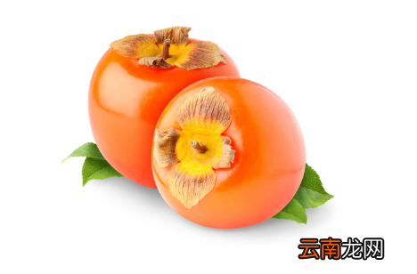 吃柿子可以吃羊肉吗 柿子是热性还是凉性