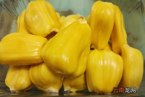 菠萝蜜要泡盐水泡多久 菠萝蜜是凉性还是热性