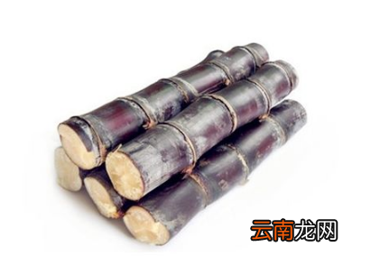 甘蔗吃了会长胖吗 甘蔗热量高吗