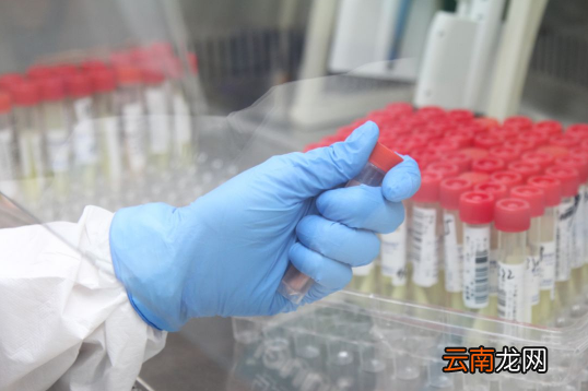 核酸检测是上高速查还是下高速查-核酸检测高速公路上检查吗