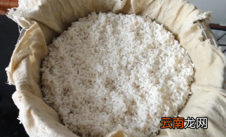 米酒发酵几天开始加水-米酒发酵好需要加水吗