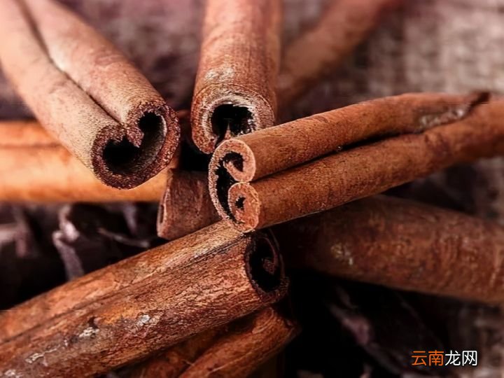 炖牛肉用什么香料 煮牛肉放什么调料