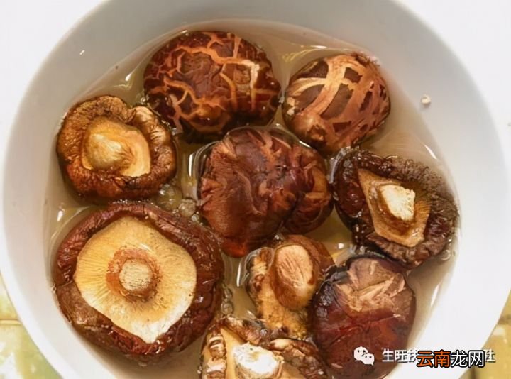 炖鸡汤放什么食材调料 熬鸡汤都放什么调料最好
