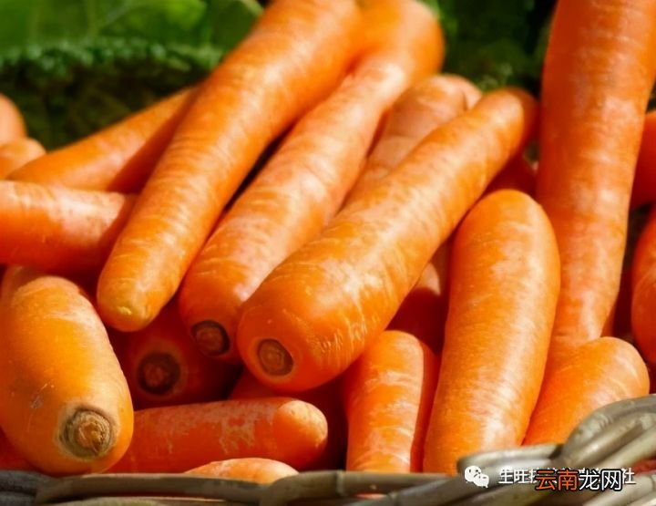 炖鸡汤放什么食材调料 熬鸡汤都放什么调料最好
