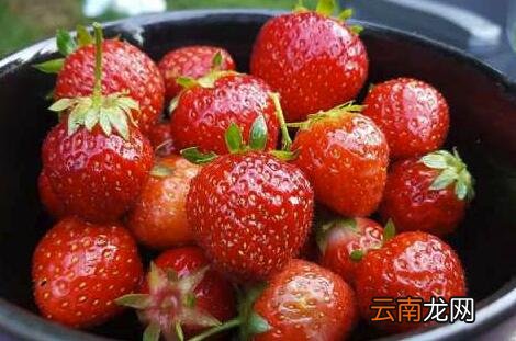 吃草莓好处竟有这么多 女人吃草莓好处和坏处