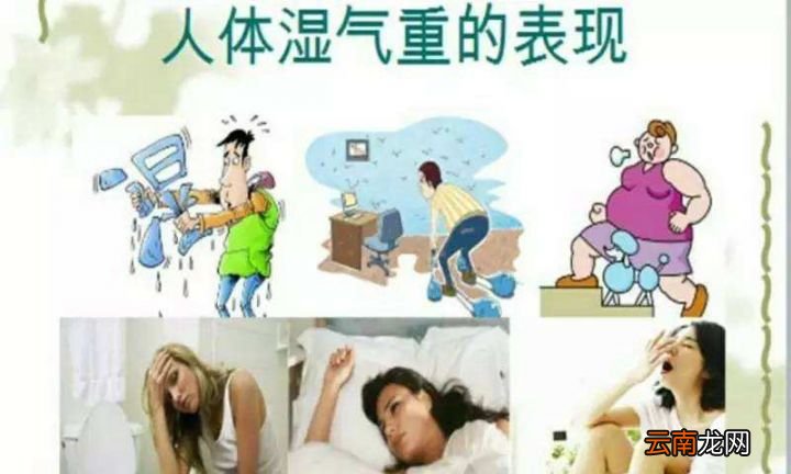 湿气重就吃这些水果 湿气最怕三种水果