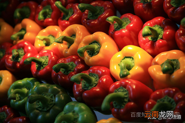 维生素含量多的蔬菜、水果有那些 维生素b的食物和水果