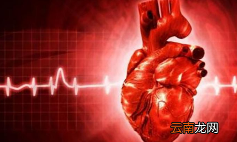 坚持运动让我治愈了房颤是真的吗-房颤时运动一下就恢复正常了可信吗